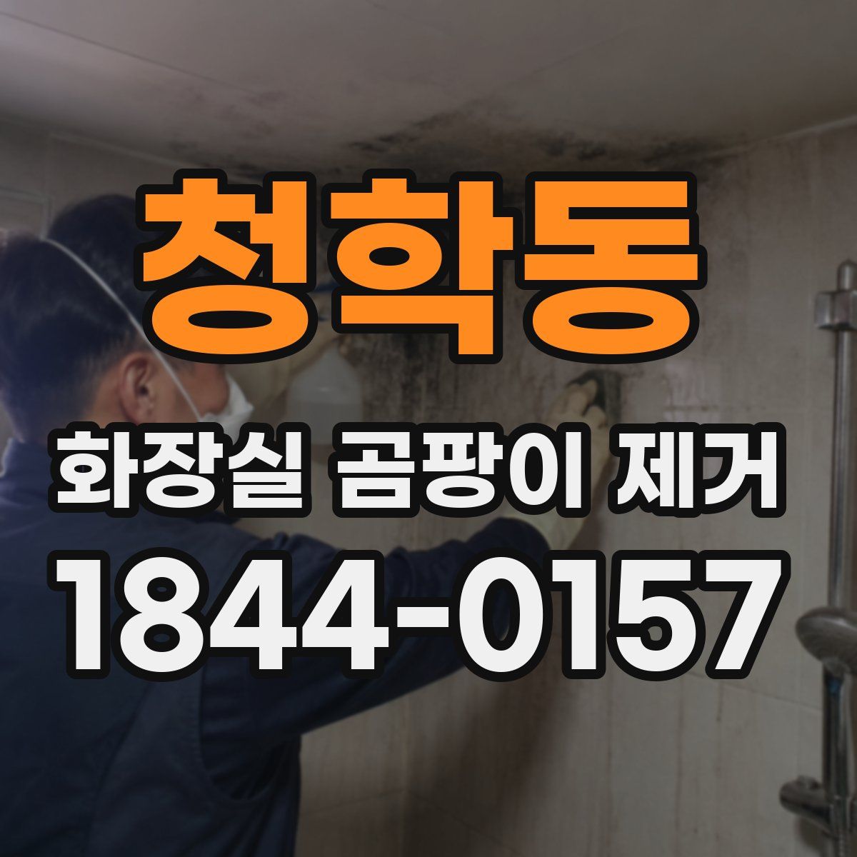 청학동 화장실 곰팡이 제거
