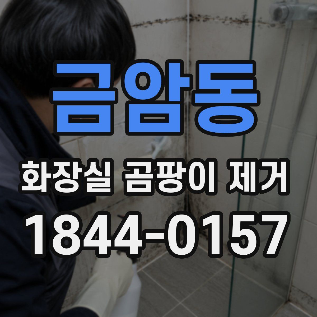 금암동 화장실 곰팡이 제거