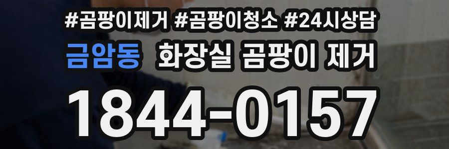 금암동 화장실 곰팡이 제거