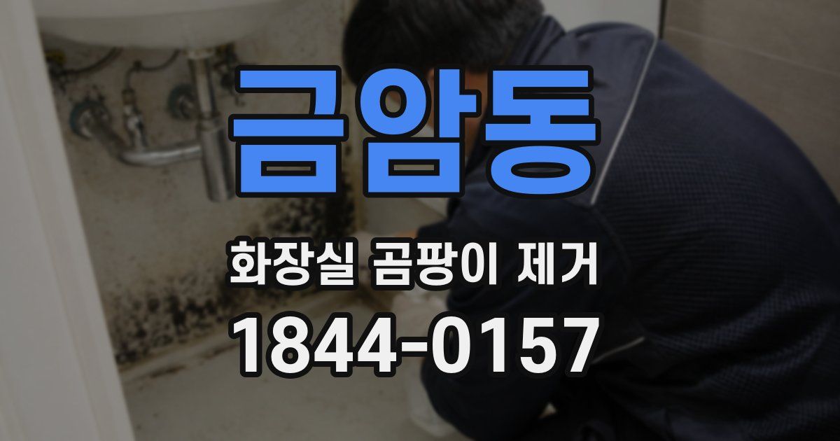 금암동 화장실 곰팡이 제거