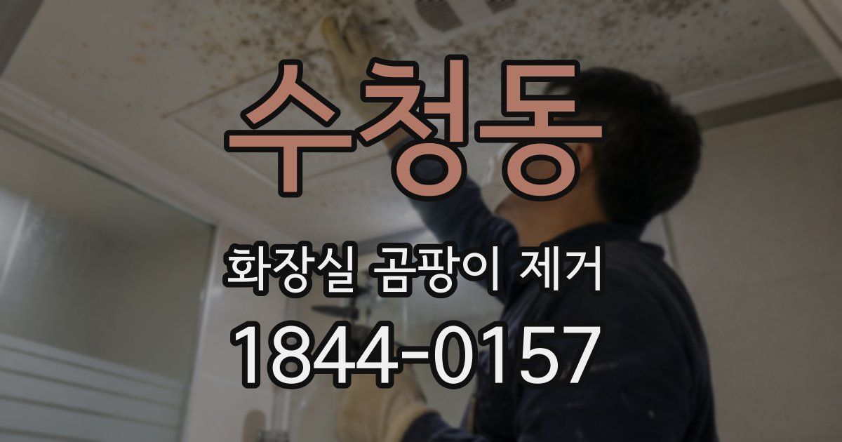 수청동 화장실 곰팡이 제거