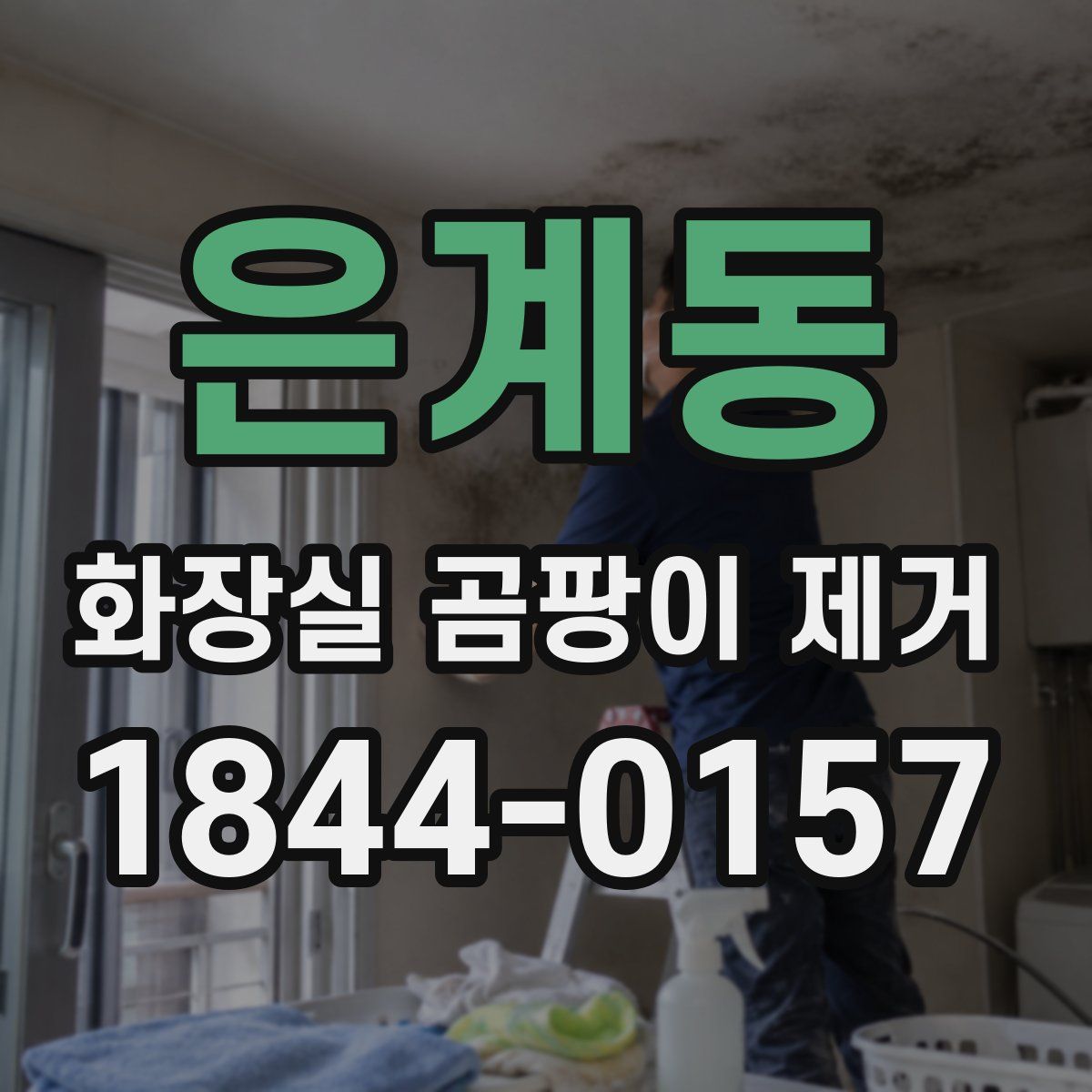 은계동 화장실 곰팡이 제거