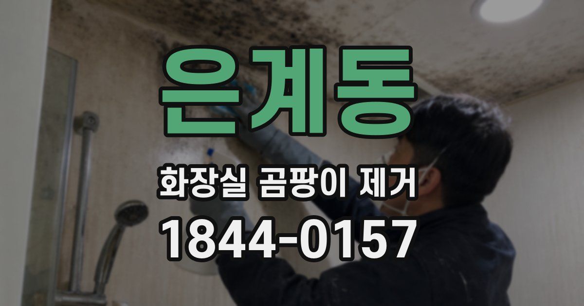 은계동 화장실 곰팡이 제거