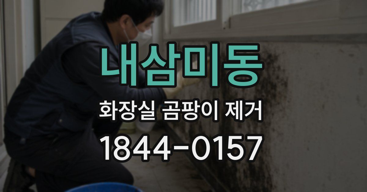 내삼미동 화장실 곰팡이 제거