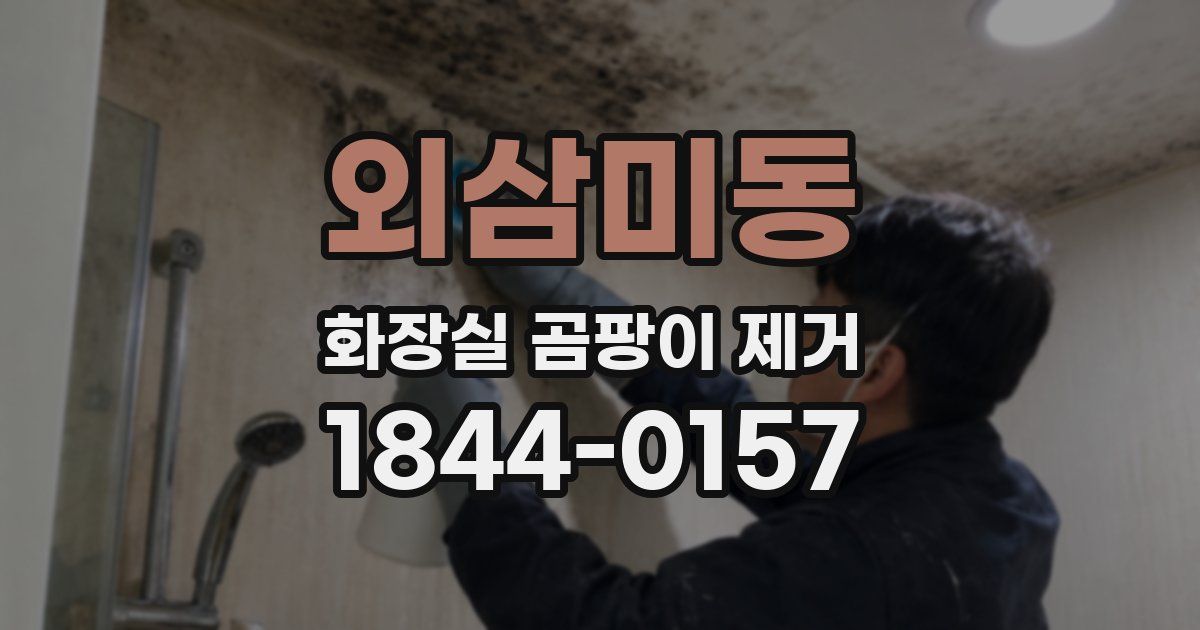 외삼미동 화장실 곰팡이 제거