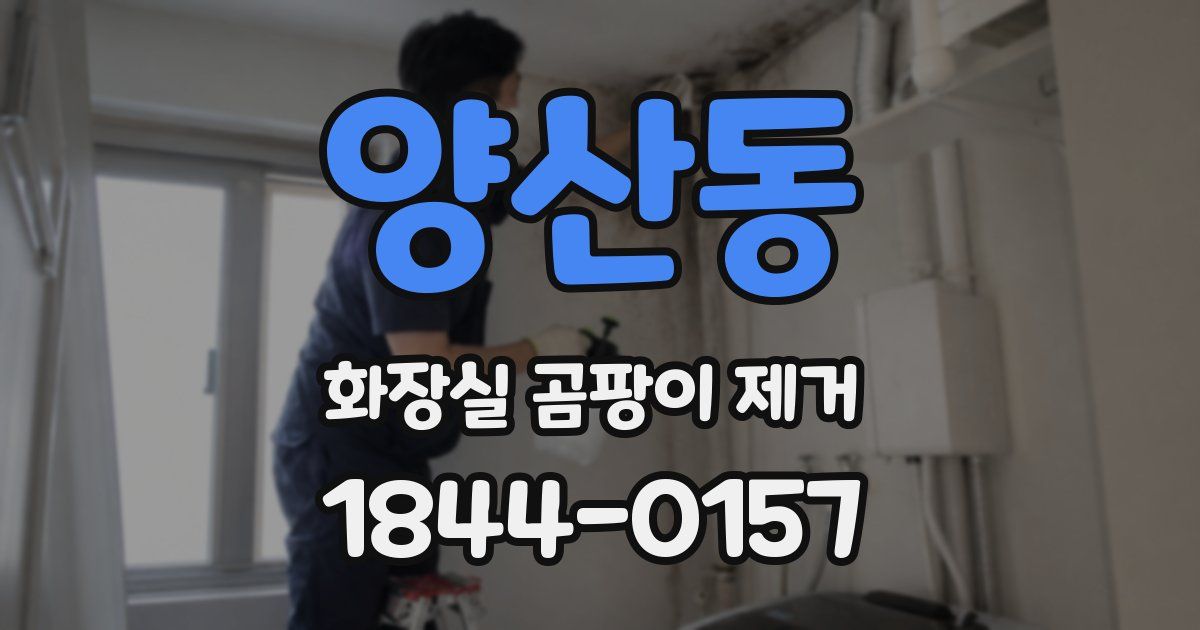 양산동 화장실 곰팡이 제거