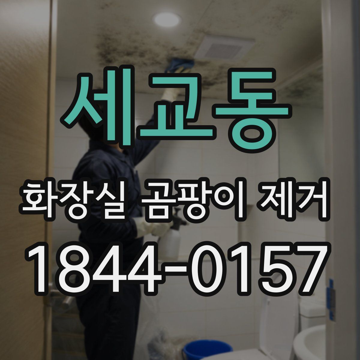 세교동 화장실 곰팡이 제거
