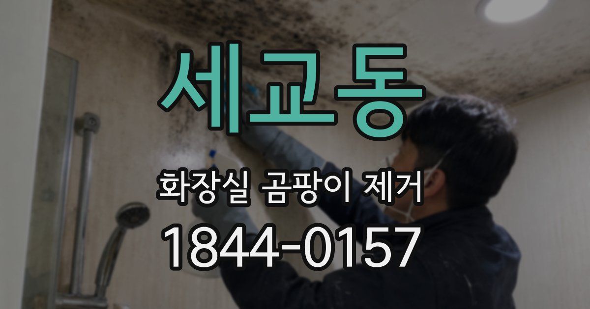 세교동 화장실 곰팡이 제거