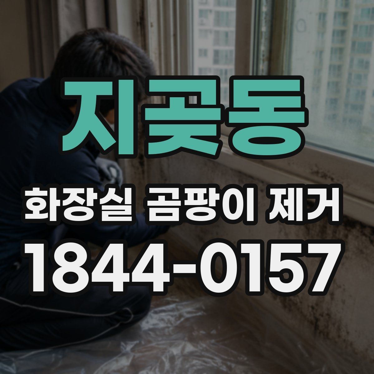 지곶동 화장실 곰팡이 제거 아이와 함께 사는 집에서 확인할 점