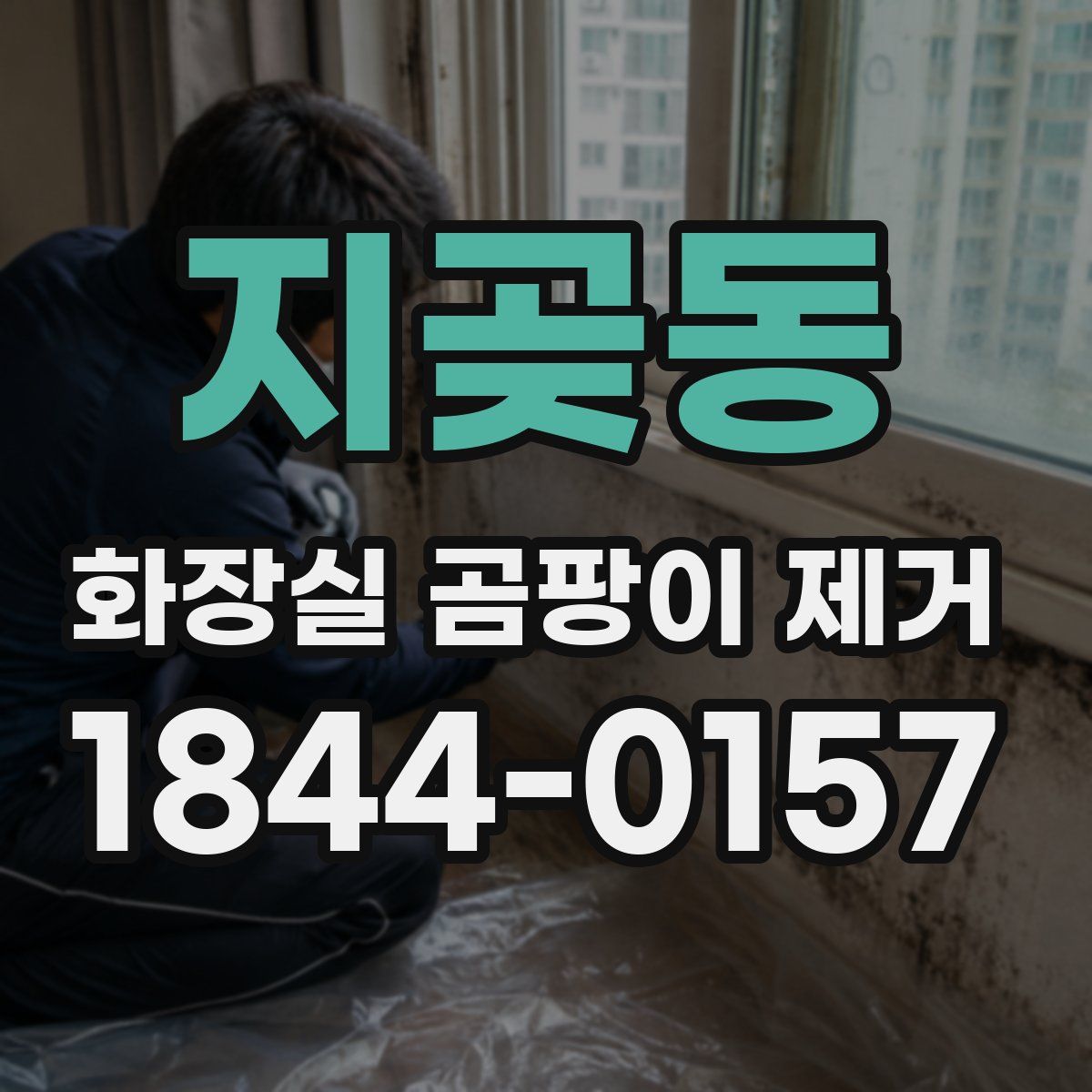 지곶동 화장실 곰팡이 제거