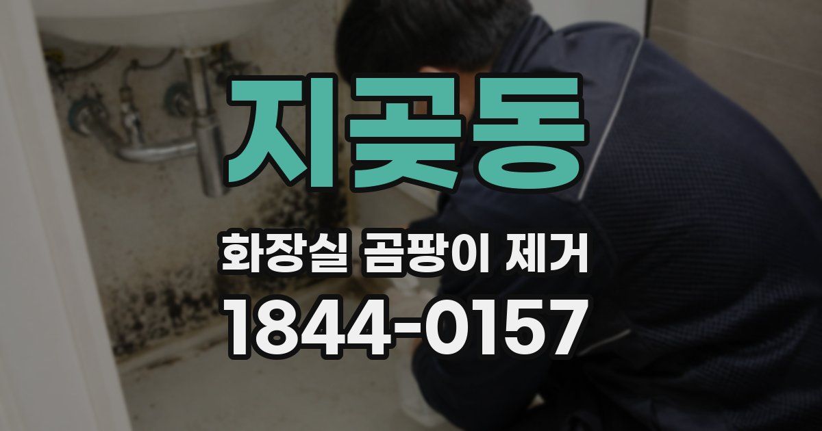 지곶동 화장실 곰팡이 제거