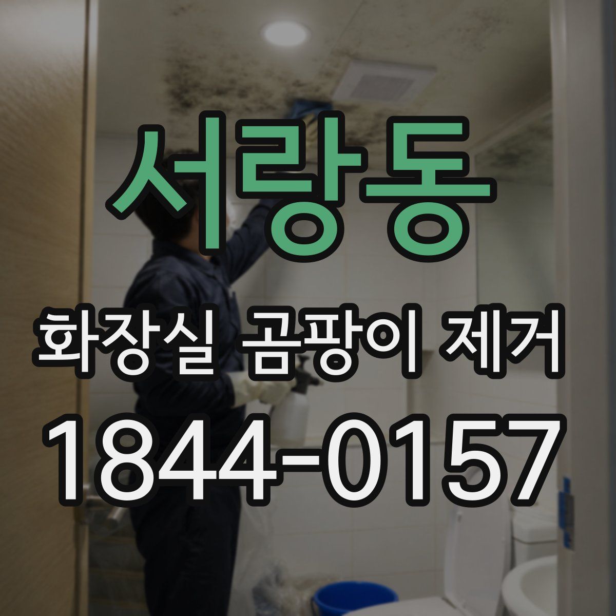 서랑동 화장실 곰팡이 제거