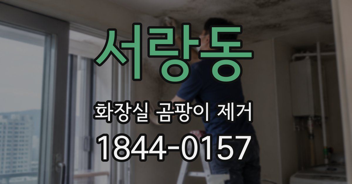 서랑동 화장실 곰팡이 제거