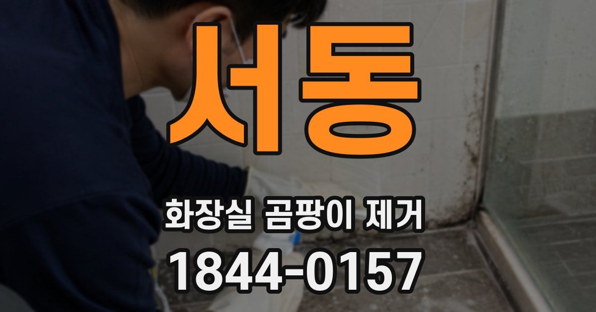서동 화장실 곰팡이 제거