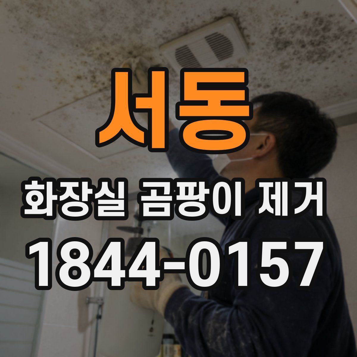 서동 화장실 곰팡이 제거