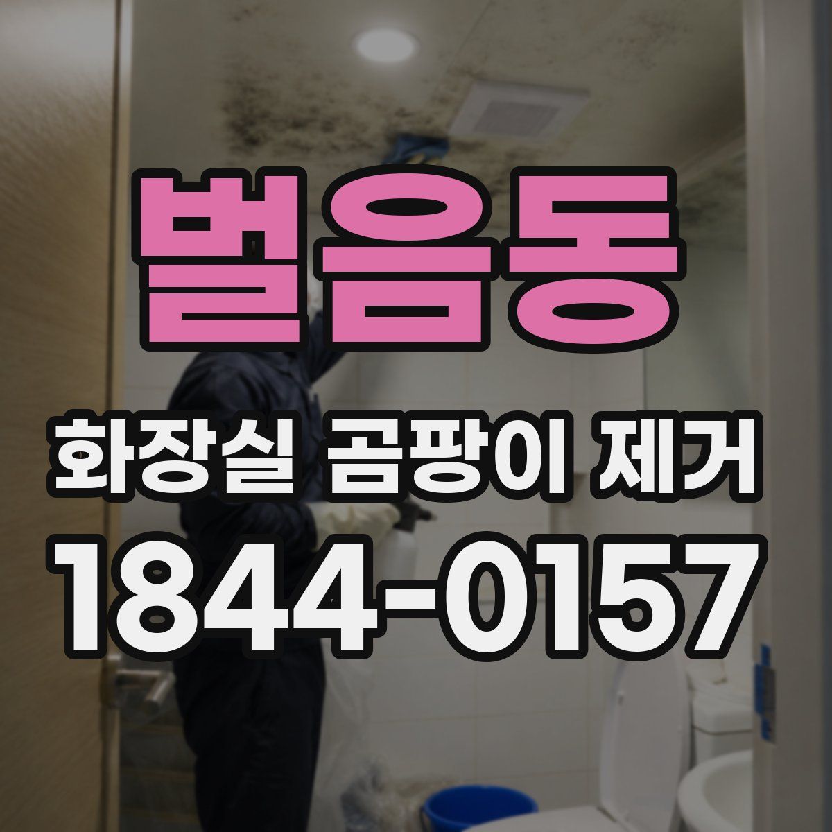 벌음동 화장실 곰팡이 제거