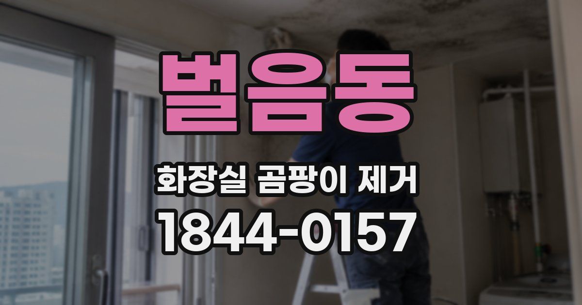 벌음동 화장실 곰팡이 제거