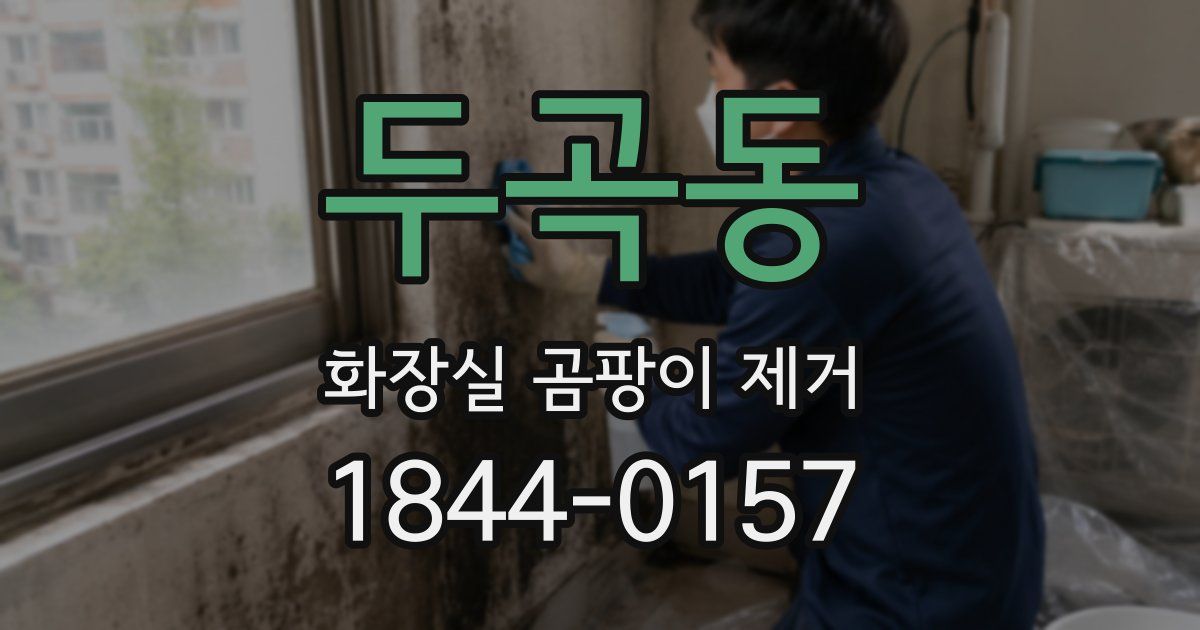 두곡동 화장실 곰팡이 제거