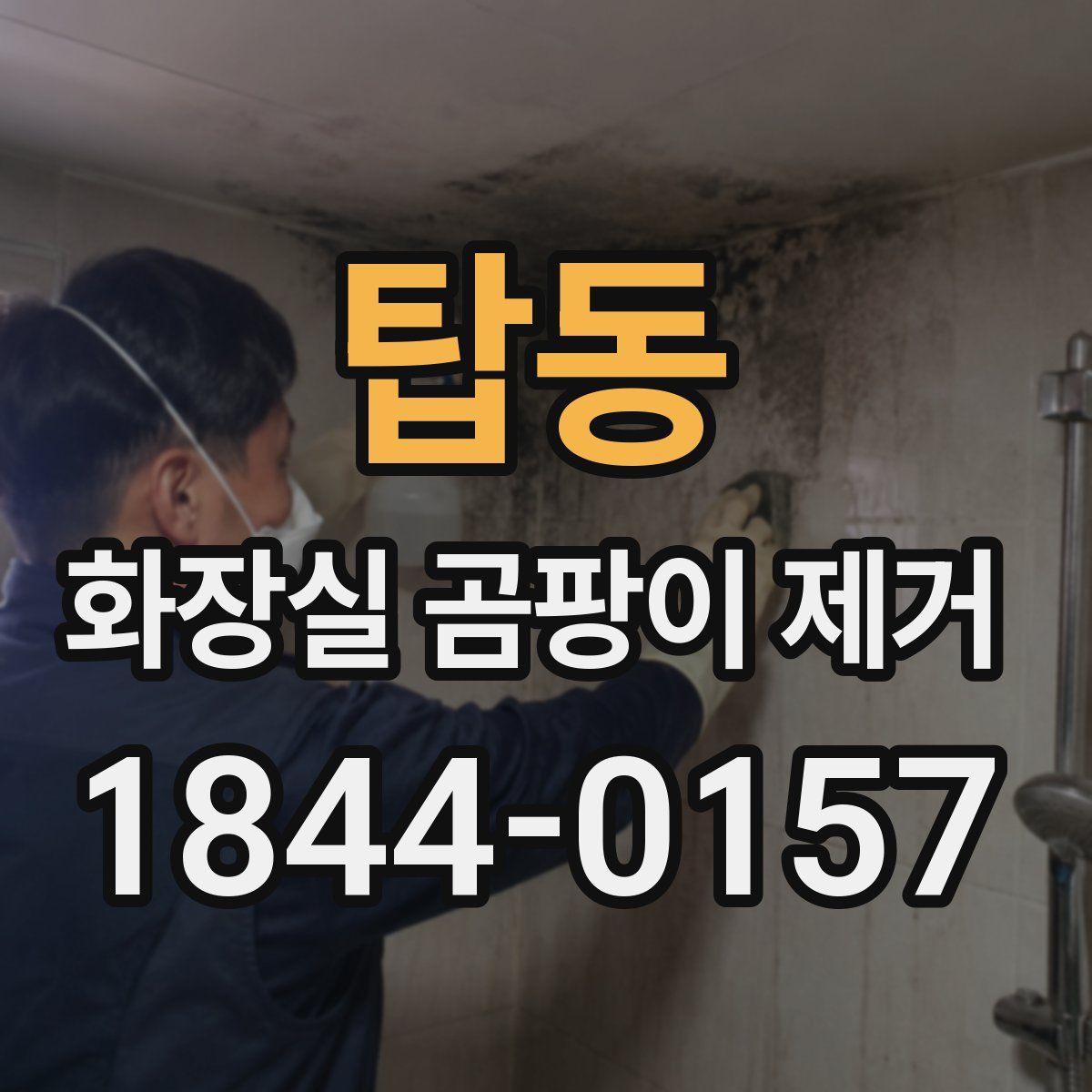 탑동 화장실 곰팡이 제거