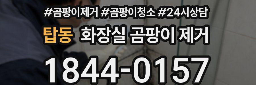 탑동 화장실 곰팡이 제거