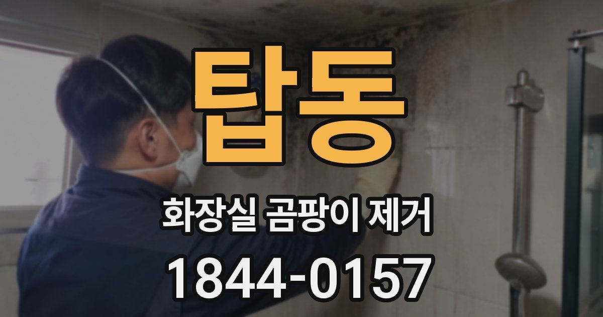 탑동 화장실 곰팡이 제거