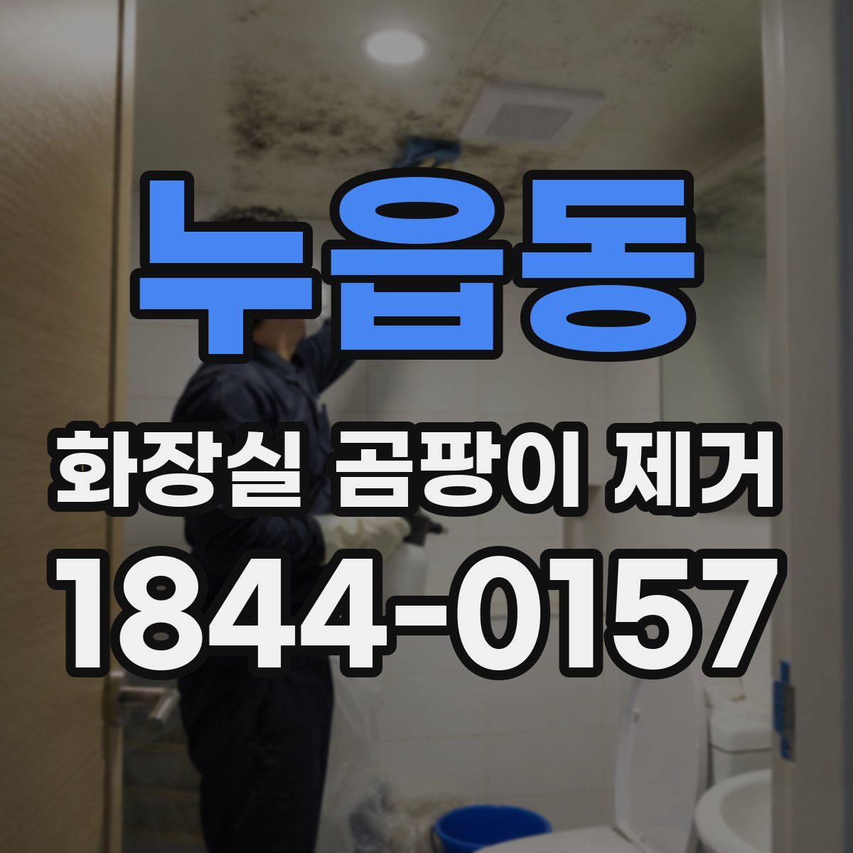 누읍동 화장실 곰팡이 제거
