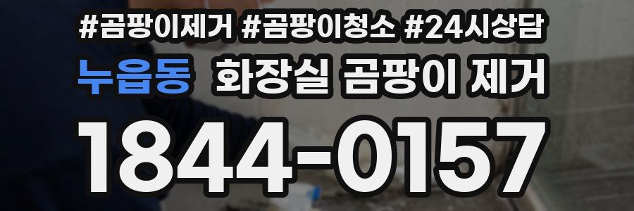 누읍동 화장실 곰팡이 제거