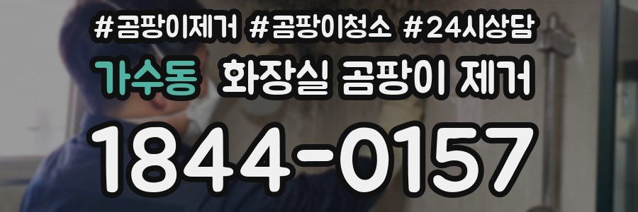 가수동 화장실 곰팡이 제거