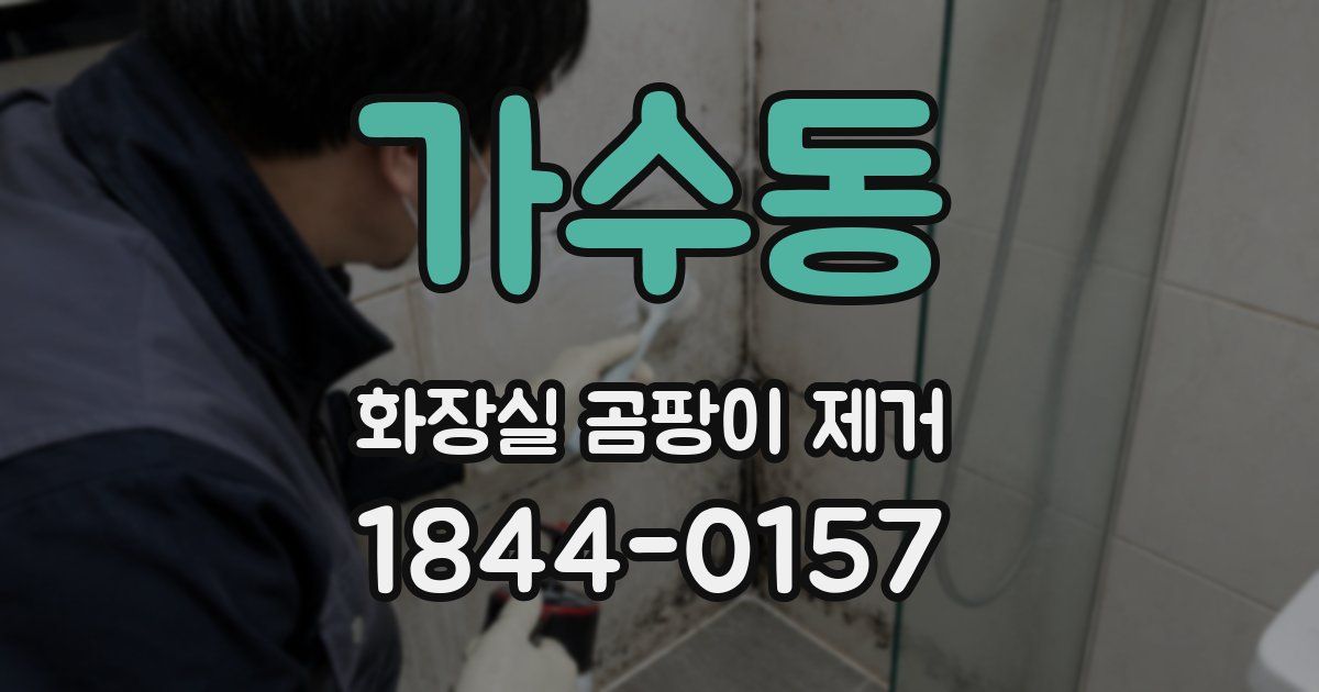 가수동 화장실 곰팡이 제거