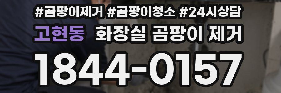 고현동 화장실 곰팡이 제거