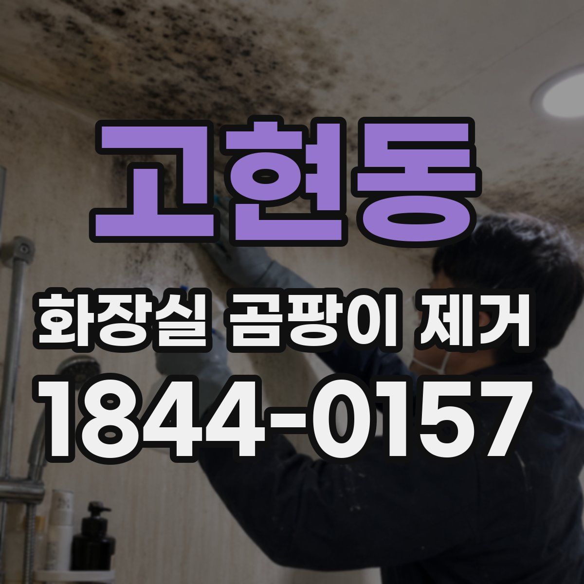 고현동 화장실 곰팡이 제거