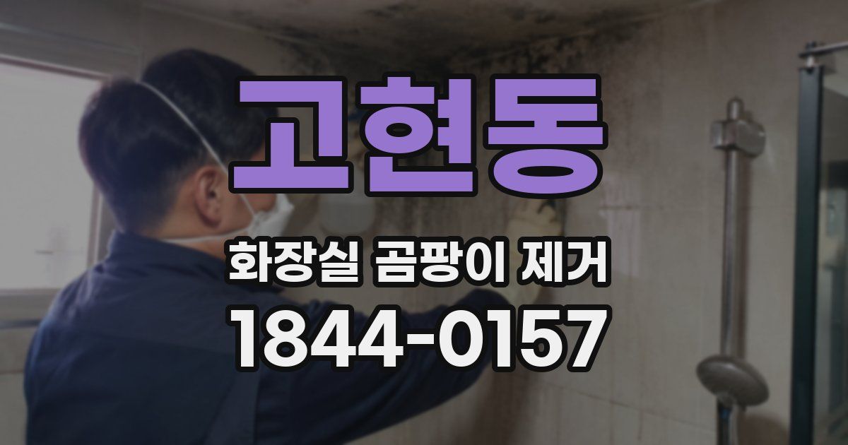 고현동 화장실 곰팡이 제거