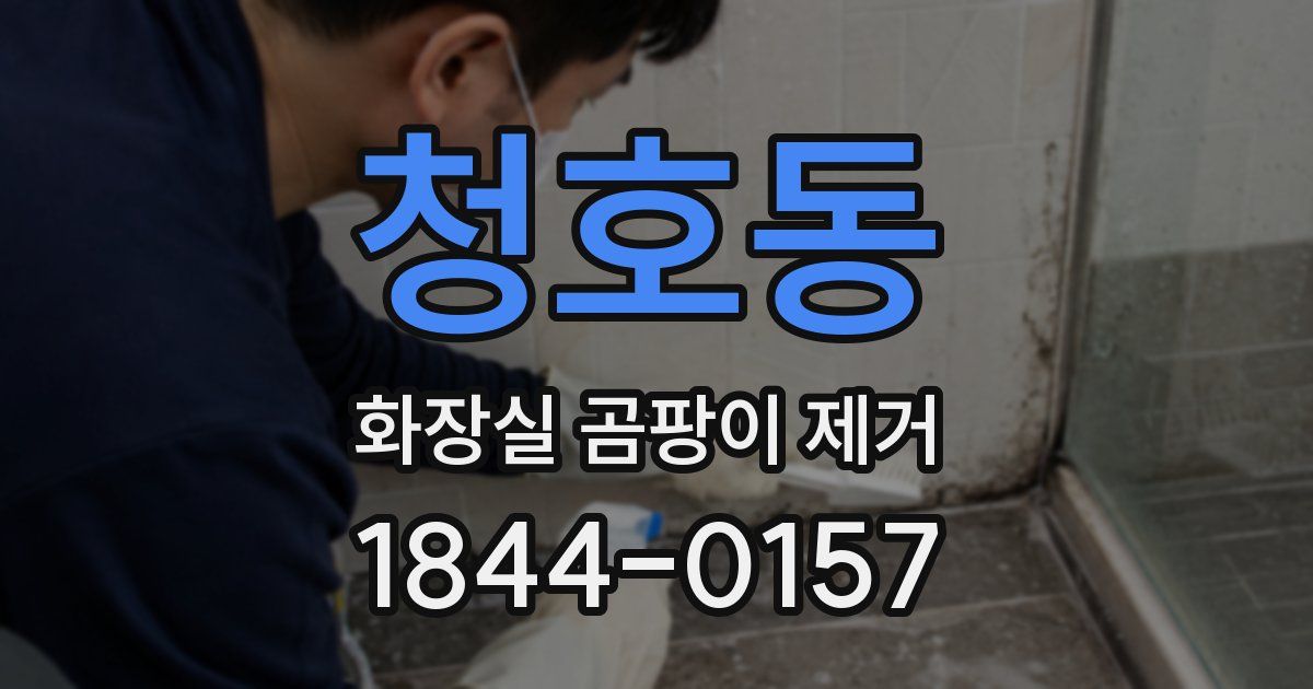 청호동 화장실 곰팡이 제거