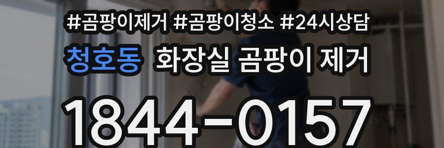 청호동 화장실 곰팡이 제거