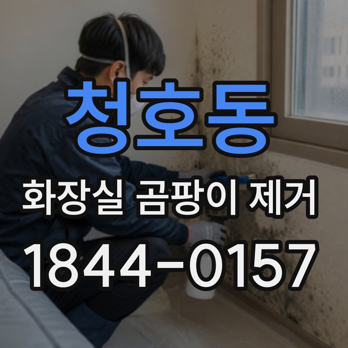 청호동 화장실 곰팡이 제거