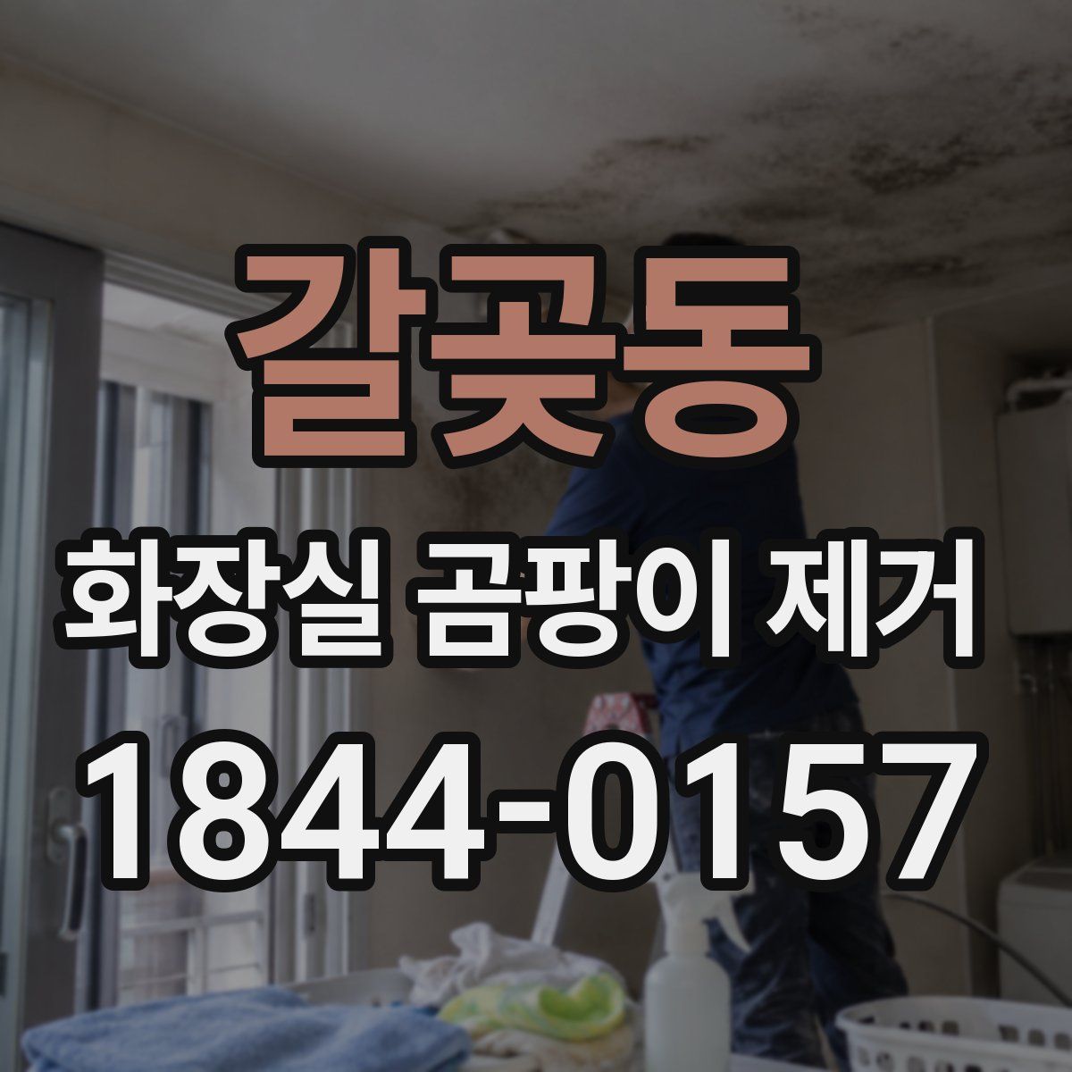 갈곶동 화장실 곰팡이 제거