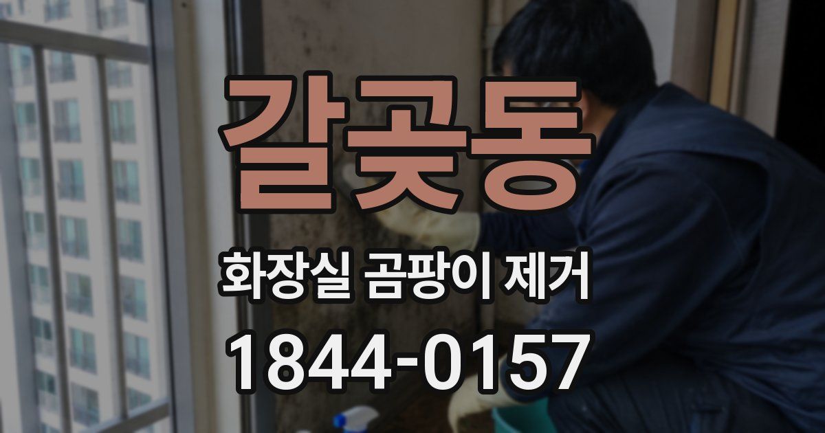 갈곶동 화장실 곰팡이 제거