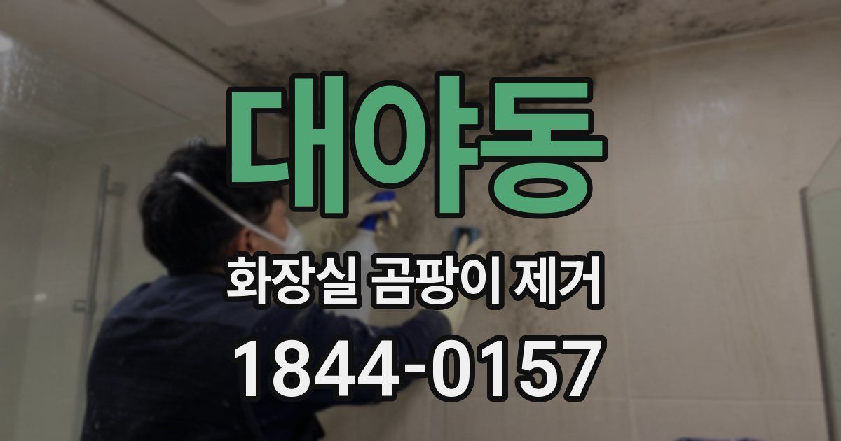 대야동 화장실 곰팡이 제거