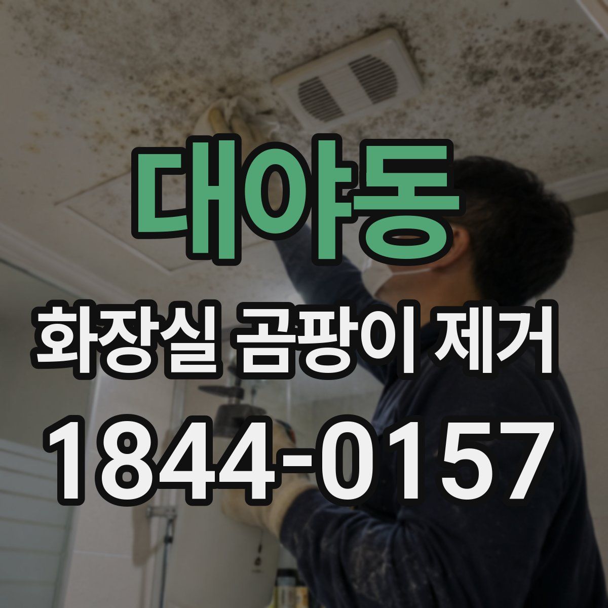 대야동 화장실 곰팡이 제거