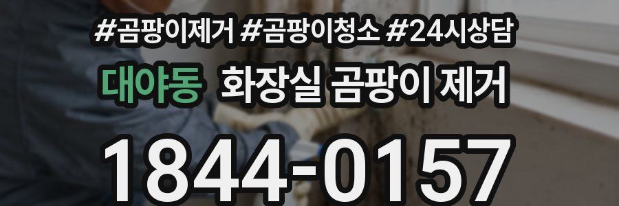 대야동 화장실 곰팡이 제거