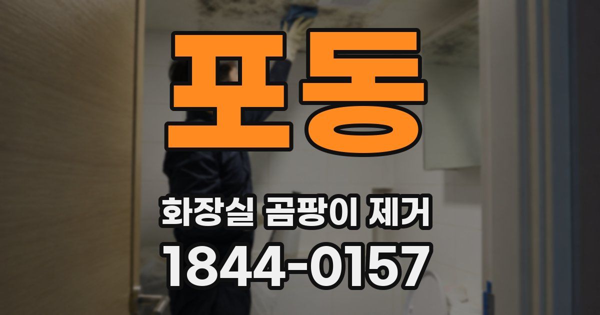 포동 화장실 곰팡이 제거