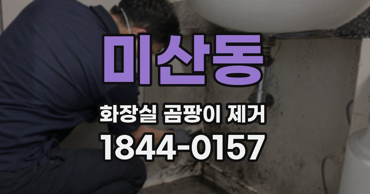 미산동 화장실 곰팡이 제거