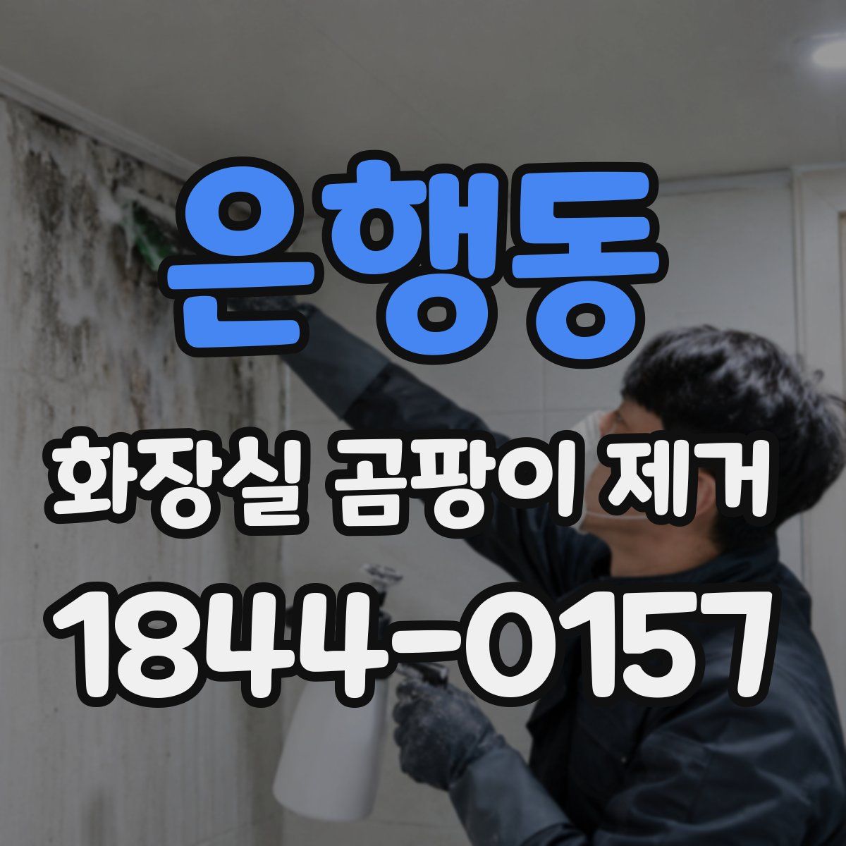 은행동 화장실 곰팡이 제거