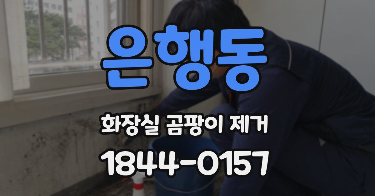 은행동 화장실 곰팡이 제거