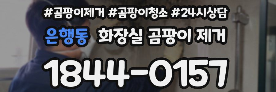 은행동 화장실 곰팡이 제거