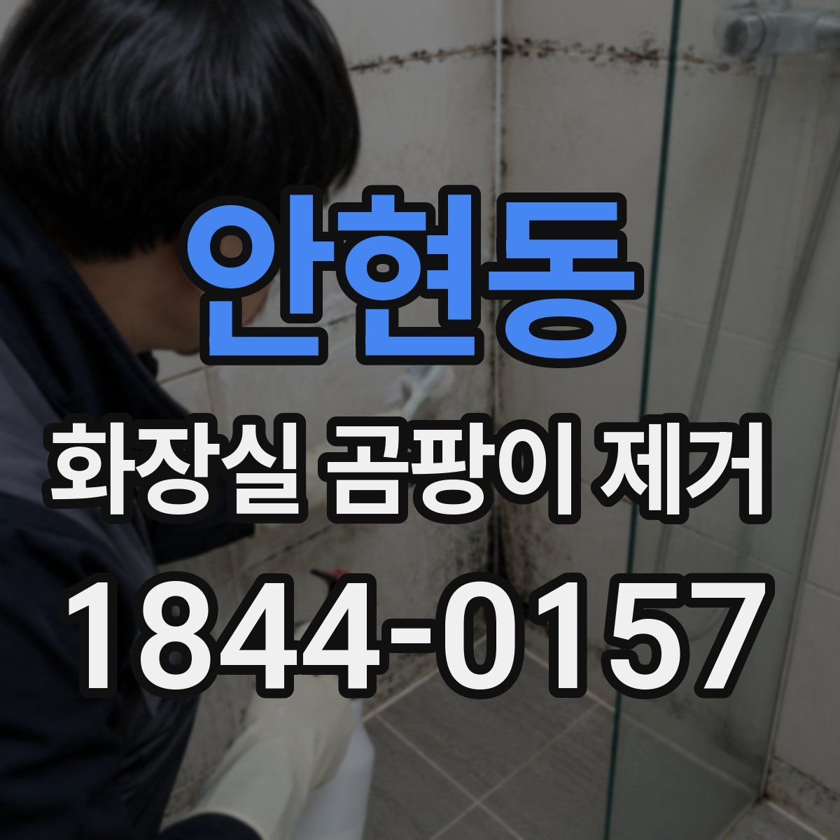 안현동 화장실 곰팡이 제거
