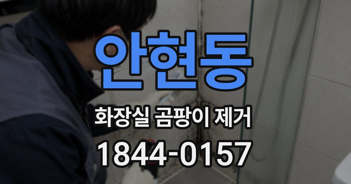 안현동 화장실 곰팡이 제거