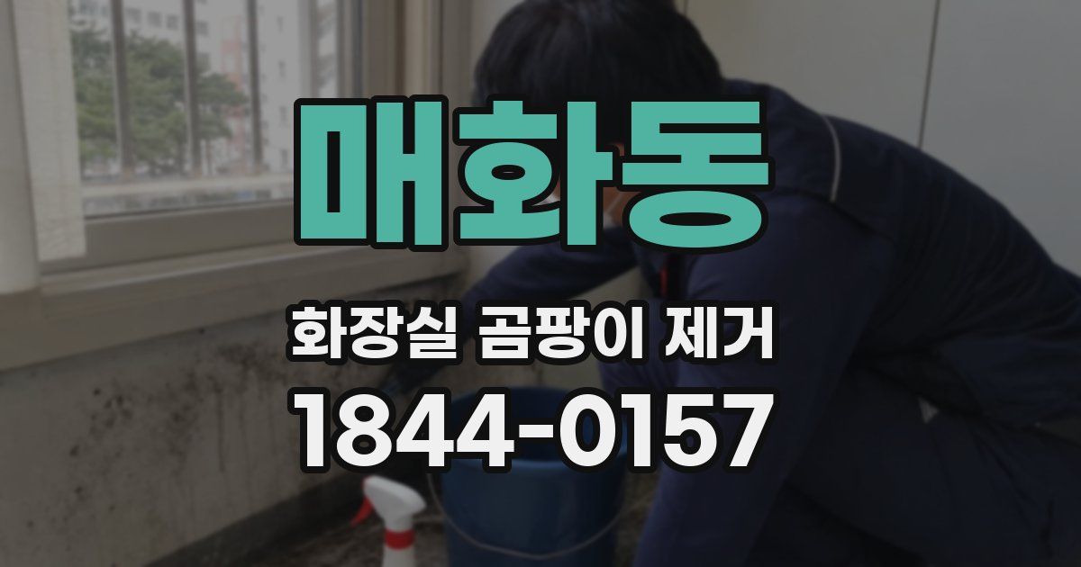 매화동 화장실 곰팡이 제거