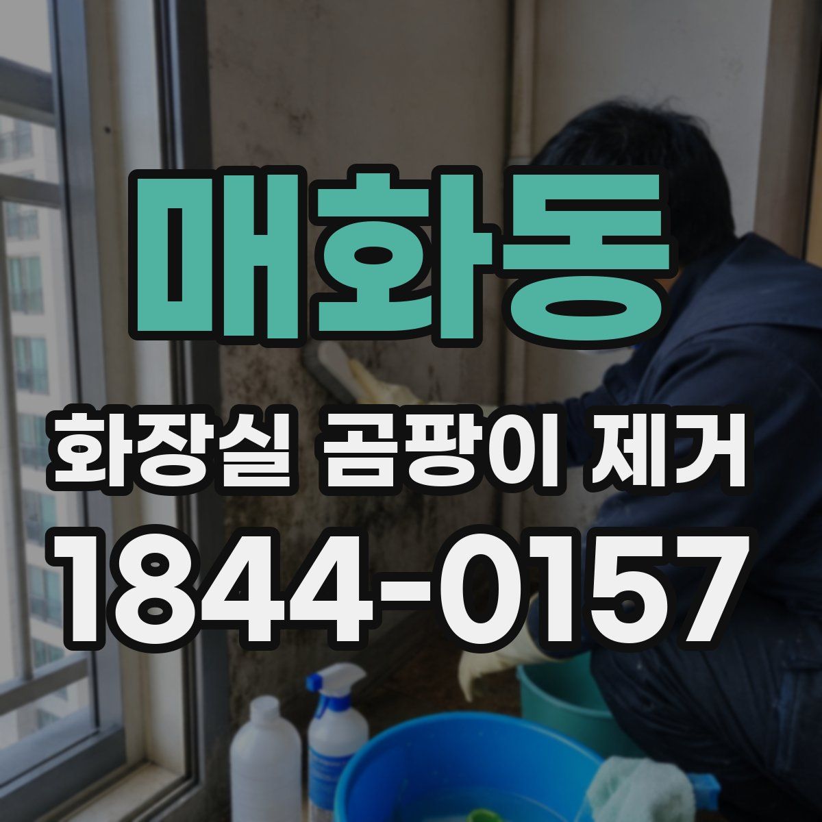 매화동 화장실 곰팡이 제거