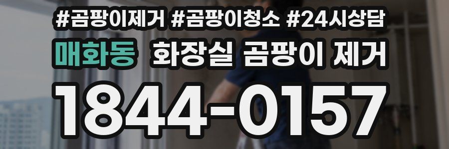 매화동 화장실 곰팡이 제거